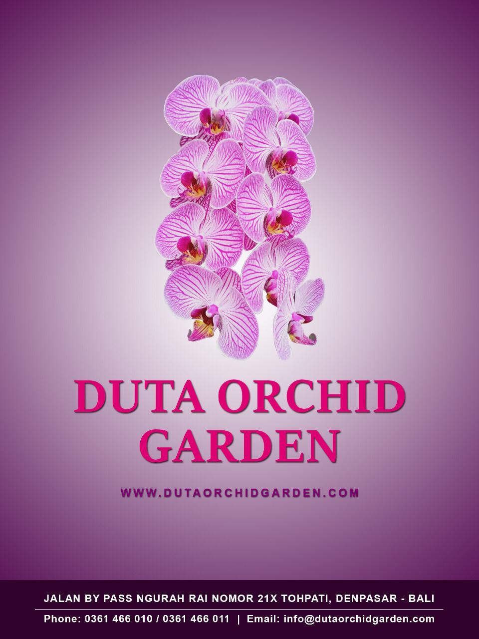 Beautiful Orchid Garden